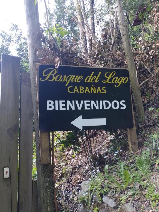 Bosque Del Lago Pucon Bagian luar foto