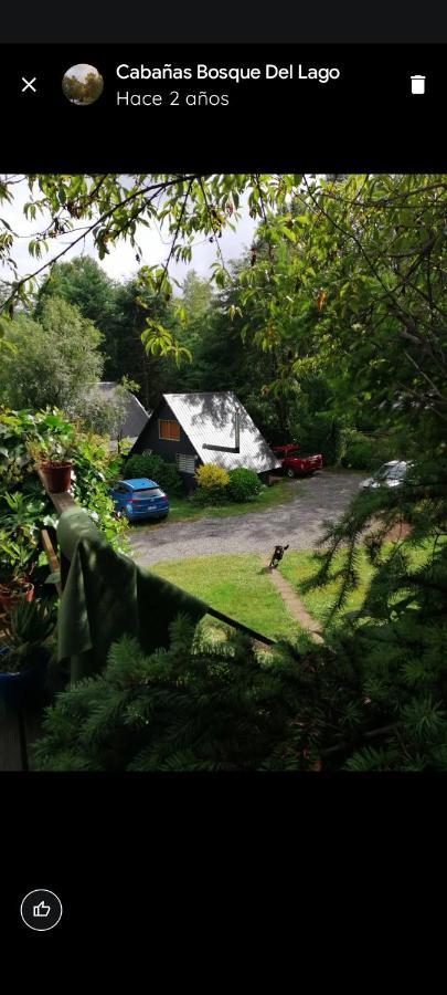 Bosque Del Lago Pucon Bagian luar foto