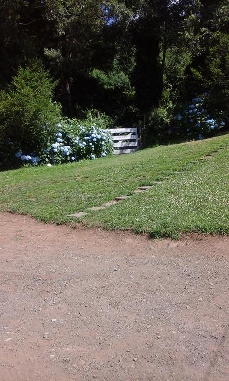 Bosque Del Lago Pucon Bagian luar foto
