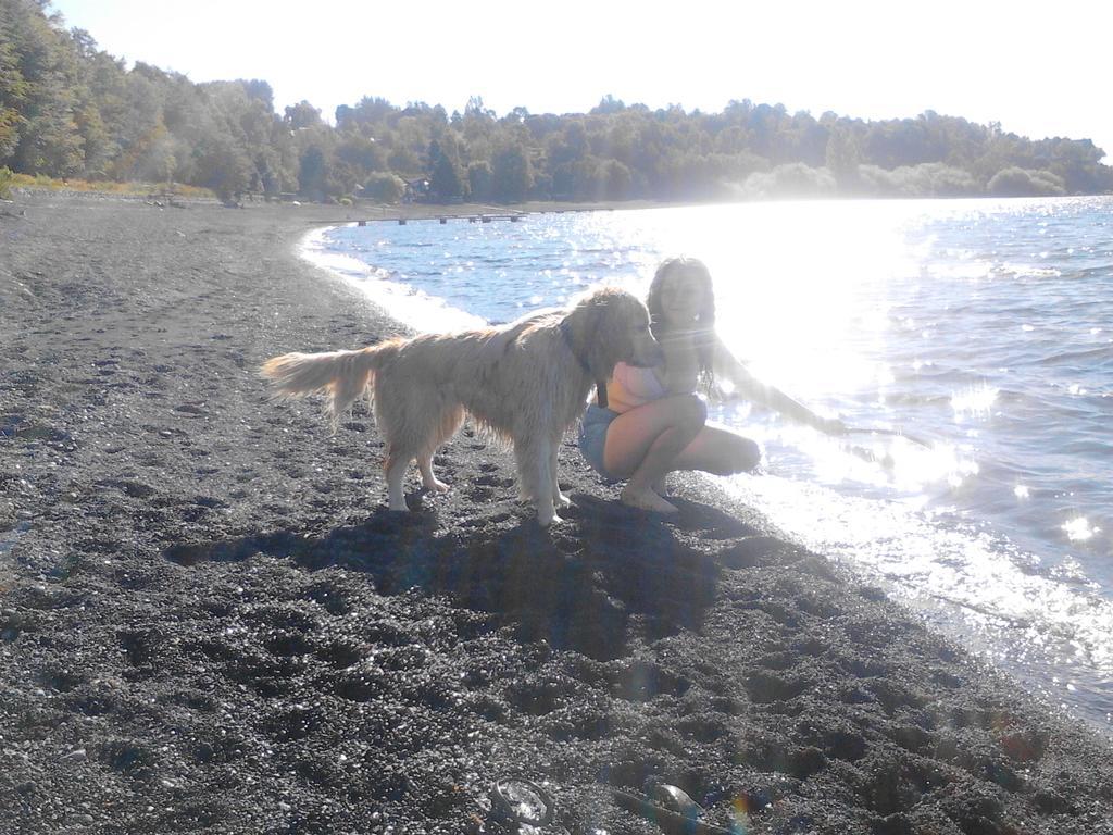 Bosque Del Lago Pucon Bagian luar foto